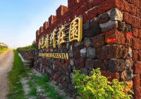 葡萄酒产区风土，究竟藏着什么秘密？