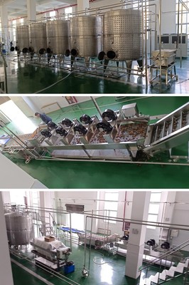 葡萄酒运输车辆（清洁 / 消毒）工艺