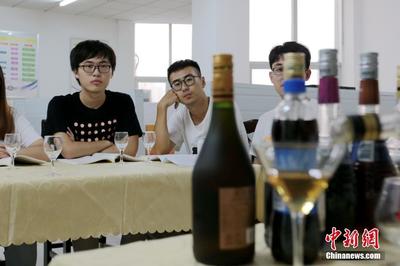 葡萄酒鸡尾酒的调制与品酒