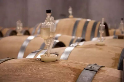 葡萄酒包装材料（酒瓶 / 瓶盖 / 标签）质量检测工艺