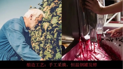 葡萄酒工艺个性化（定制化生产）实施工艺