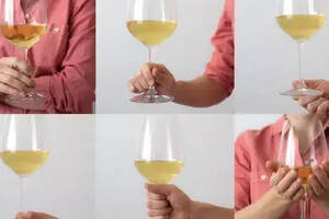 品酒礼仪（持杯姿势 / 吐酒方式）基础常识