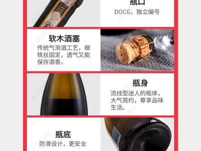 起泡葡萄酒 Transfer 法（转瓶法）工艺步骤设计