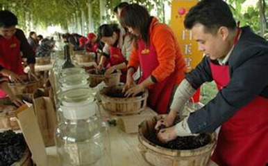 葡萄酒国际标准（OIV 标准）理解与转化工艺