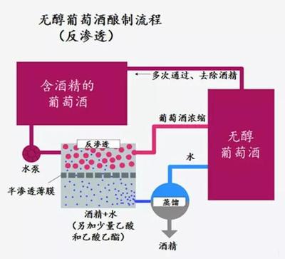 无醇葡萄酒真空蒸馏（温度 / 真空度）控制工艺