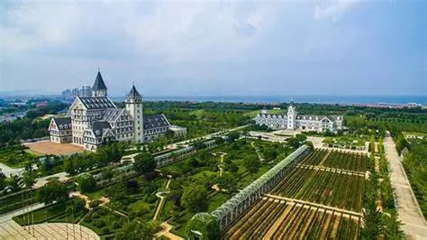 张裕丁洛特酒庄