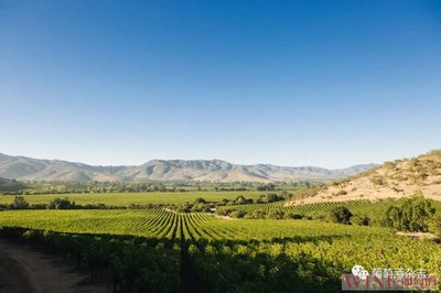 葡萄酒产区风土，背后有何故事？