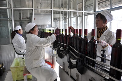 葡萄酒工艺创新（新技术 / 新工艺）研发工艺