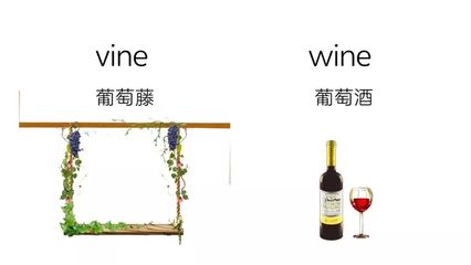 记忆葡萄酒典型特征的技巧（联想记忆法）常识