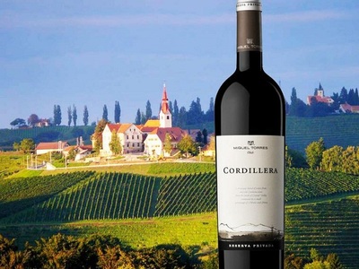 桃乐丝酒庄（Bodegas Torres）