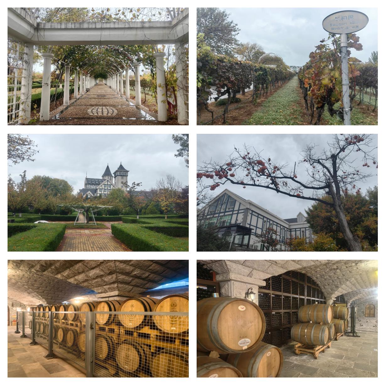 烟台张裕卡斯特酒庄