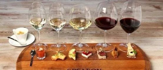 葡萄酒风味与食物搭配（互补 / 对比）工艺