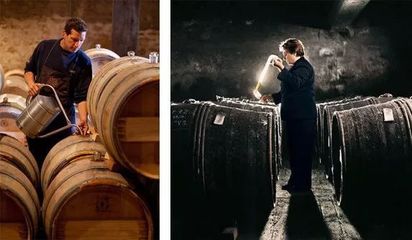 葡萄酒工艺风险（识别 / 评估 / 控制）管理工艺