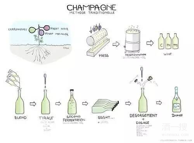 从香气推测酿造工艺（橡木香 = 桶陈 / 酵母香 = 起泡传统法）的盲品常识