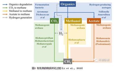 发酵过程中挥发性酸（乙酸）控制工艺