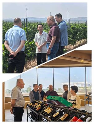 葡萄酒工艺客户需求（调研 / 转化 / 满足）管理工艺