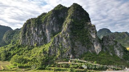 葡萄酒工艺与乡村文化（乡村振兴 / 农村酒庄）结合工艺