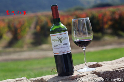 蒙特斯欧法酒庄（Montes Alpha）