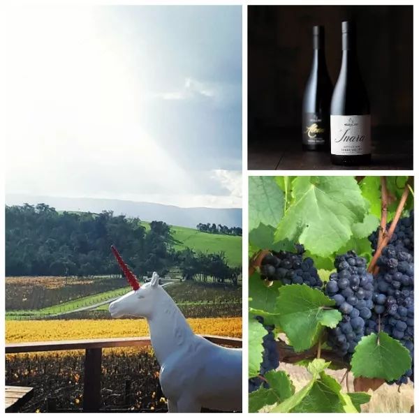 把葡萄酒产区风土，酿成一杯时光之酒