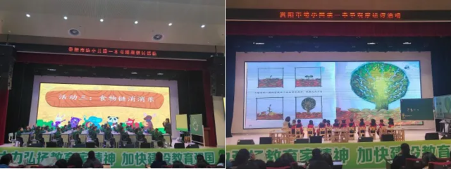 提出疑问，引发读者好奇