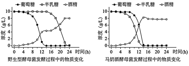 发酵过程中泡沫（酵母代谢产物）控制工艺