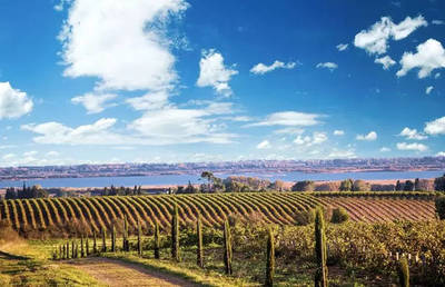 葡萄酒产区风土，隐藏着多少惊喜？