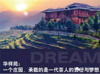 葡萄酒品牌联想打造：让消费者产生积极的品牌联想​