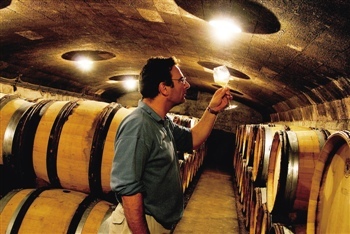 葡萄酒产区风土，酿造时光的味道