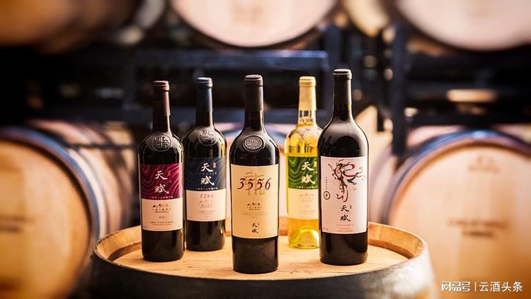 发现葡萄酒产区，感受风土的力量