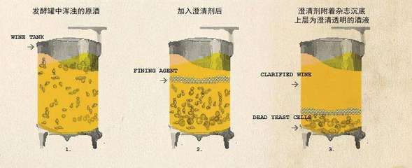 葡萄酒澄清稳定工艺成本（耗材 / 能耗）控制工艺