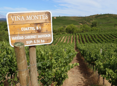 伊塔塔谷酒庄（Bodegas Itata）