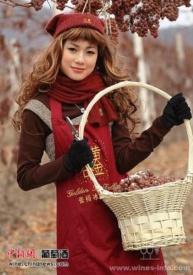 冰酒糖分（高效液相色谱）精准检测工艺