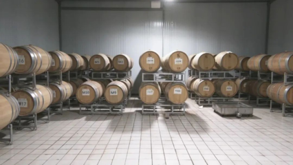 葡萄酒工艺精细化（细节管控 / 品质提升）实施工艺